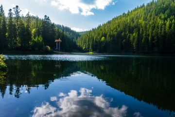 синевир